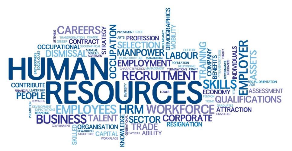 Why choose Human Resources (HR) as a Career?