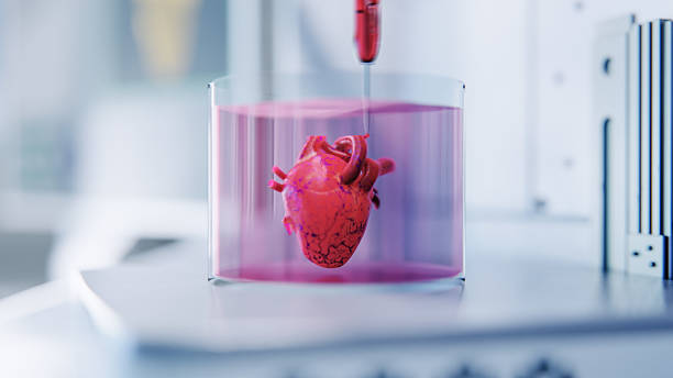 The Future is Bio: Growing Organs and Healing the Body in the Lab