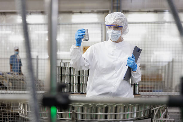 Food Process Engineer