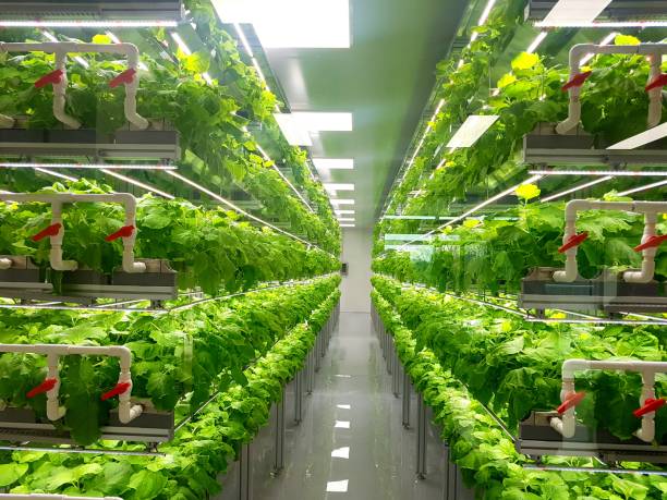 Vertical or  Urban-Farm Manager