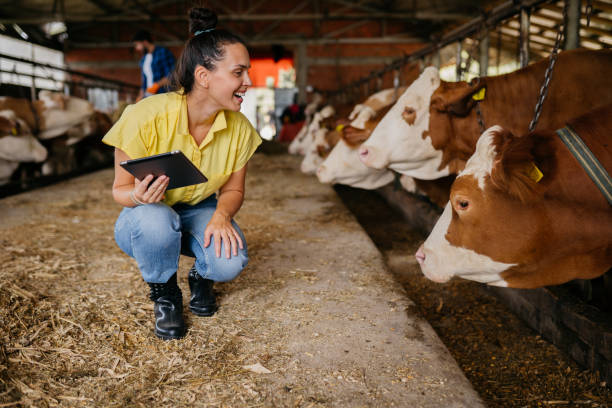 Livestock-Production Manager