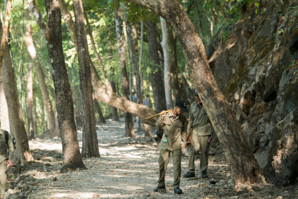 Indian Forest Services (IFS)