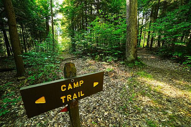 State Forest Service (SFS)