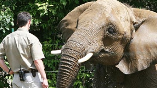 Ethology Policy Advisor