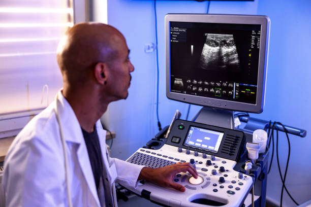 Veterinary Radiology Professor