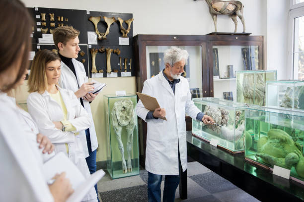 Zoophysiology Professor