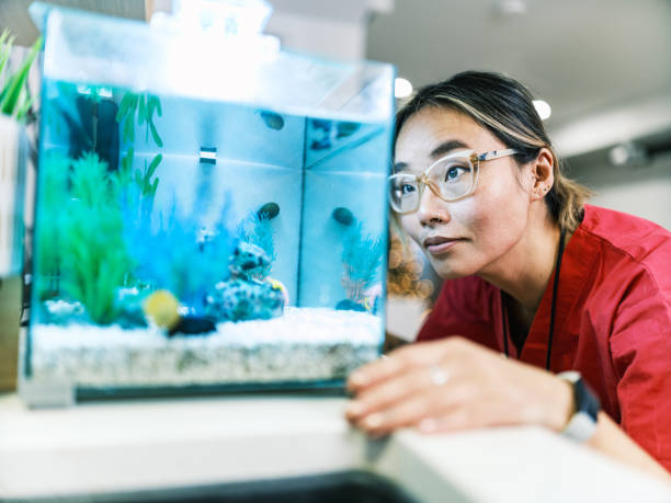 Junior Aquatic Veterinarian