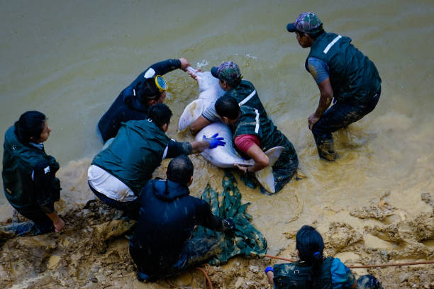 Aquatic Policy Advisor