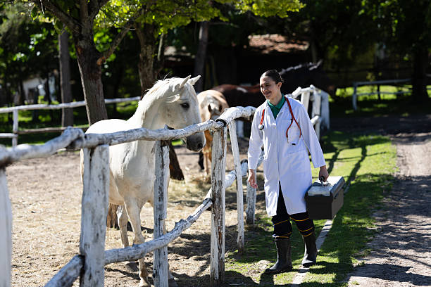 Wildlife Vet Professor