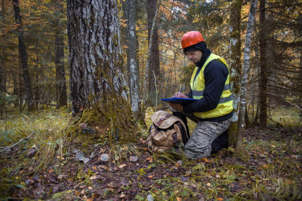 Forest Conservation Specialist