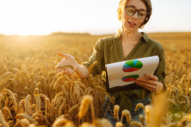 Data Analyst in Agriculture