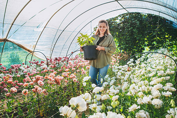 Senior Floriculturist