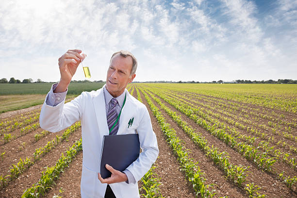Crop Management Expert