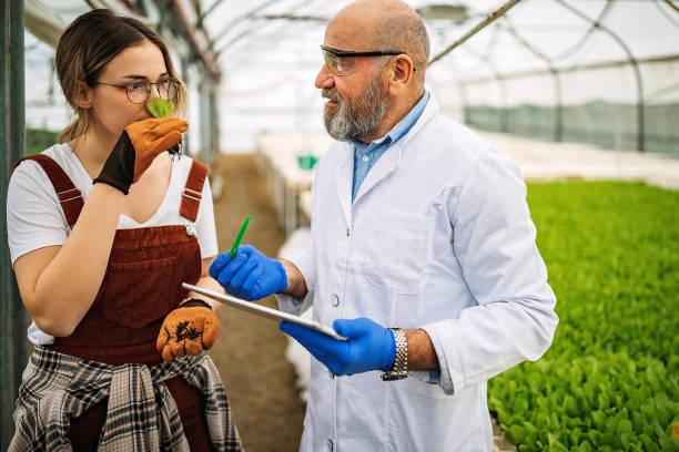 Agronomy Academician/Professor