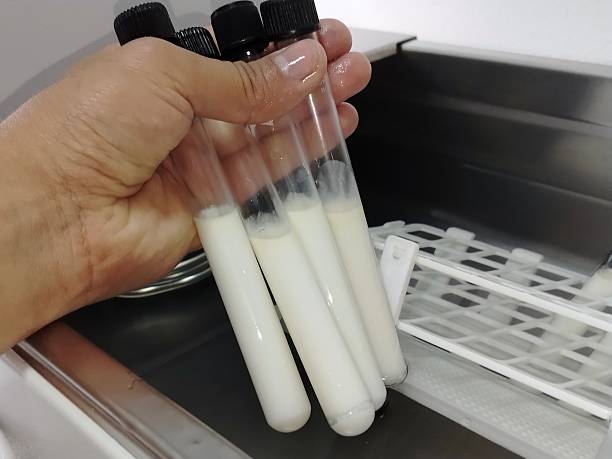 Product Development Scientist