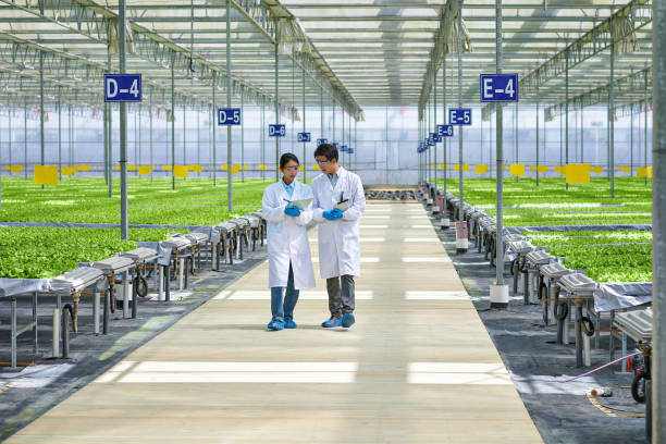 Junior Hydroponics Engineer