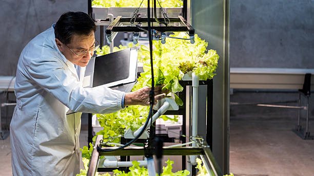 Senior Hydroponics Engineer