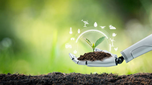 Geospatial Consultant