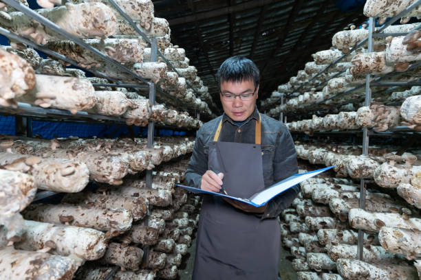 Senior Sericulturist