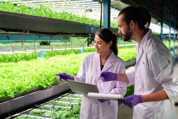 Academician/Professor