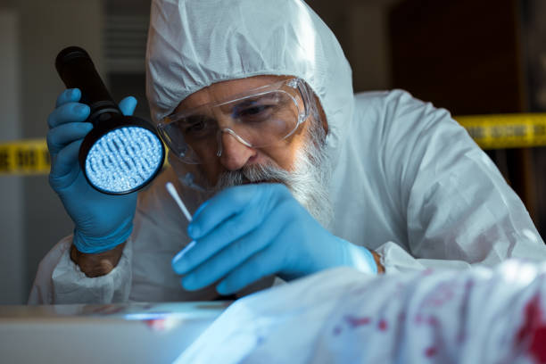 Senior Forensic Technologist