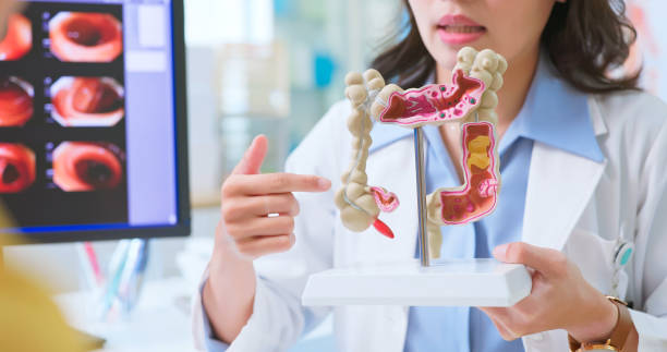 Endoscopy Consultant