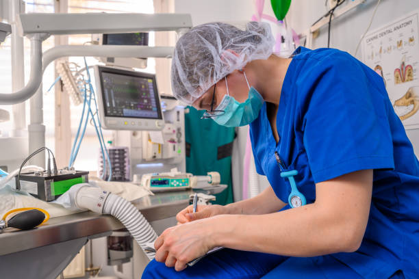 Lead Anaesthesia Technician