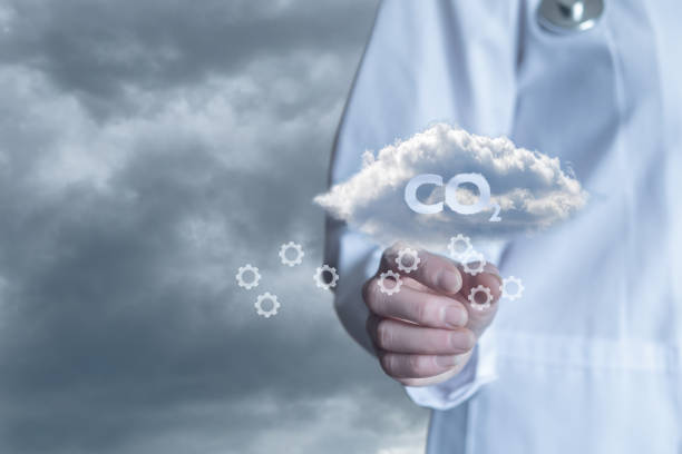 Climate Adaptation Strategist