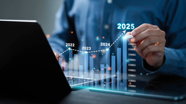 Economic Development Consultant