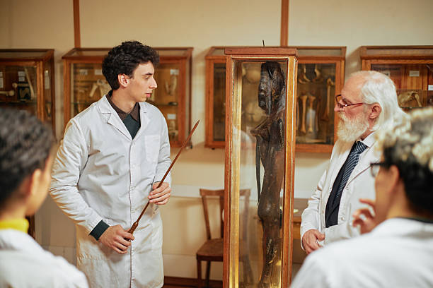 Historical Curator
