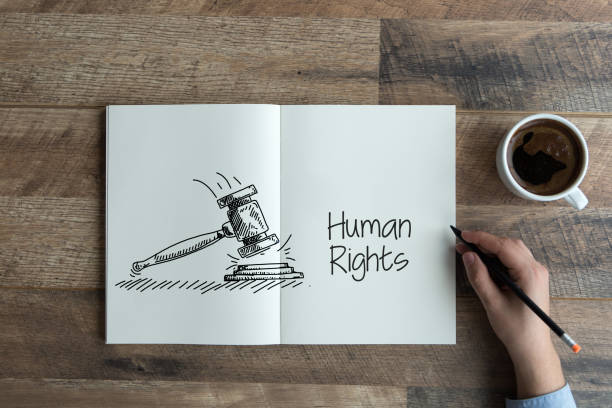Senior Advocate