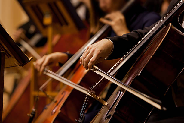 Lead Musician