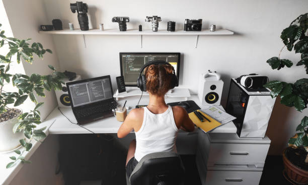 Indie Game Developer