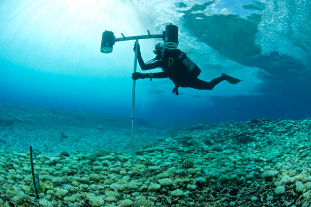 Physical Oceanographer