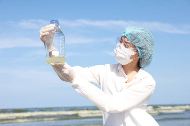 Chemical Oceanographer