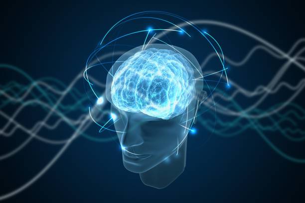 Quantum Simulation Specialist