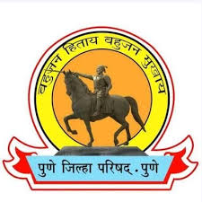 District Development Officer/ Zilla Parishad CEO (Senior Level)