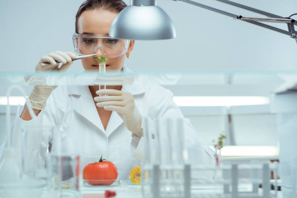 Culinary Scientist