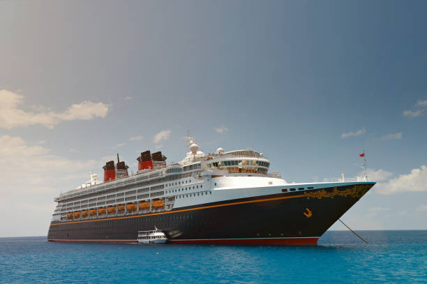 Cruise Line Consultant