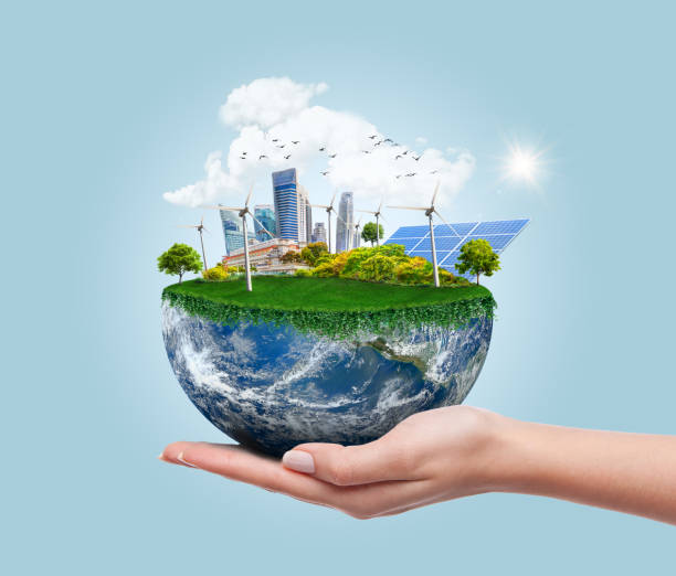 Green Travel Innovator
