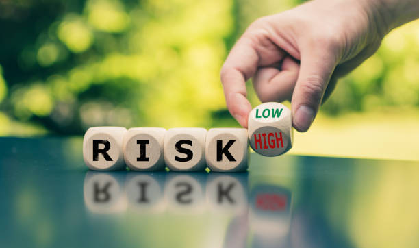 Senior Risk Manager
