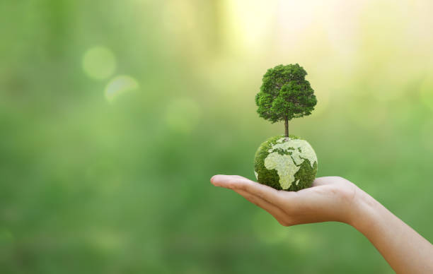 Sustainability Specialist