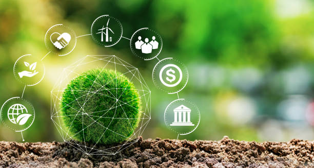 Environmental Compliance Manager