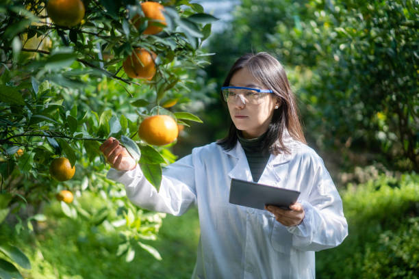 Citrus Research Scientist