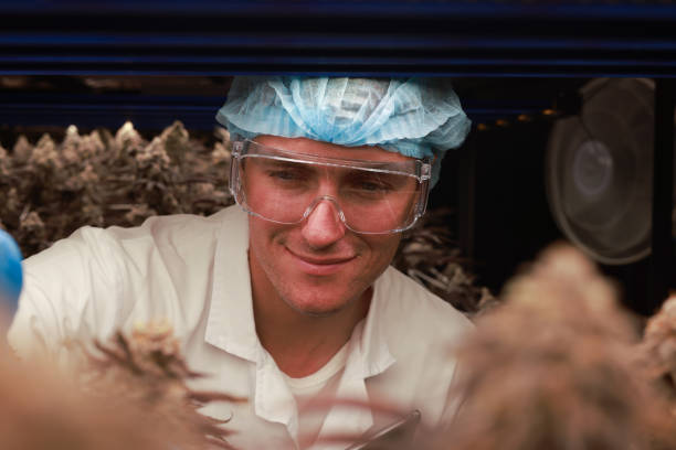 Junior Mycologist