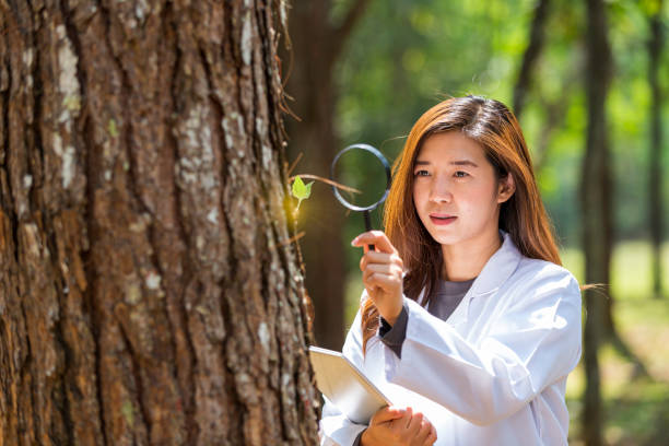 Ethnomycologist (Specialized Role)