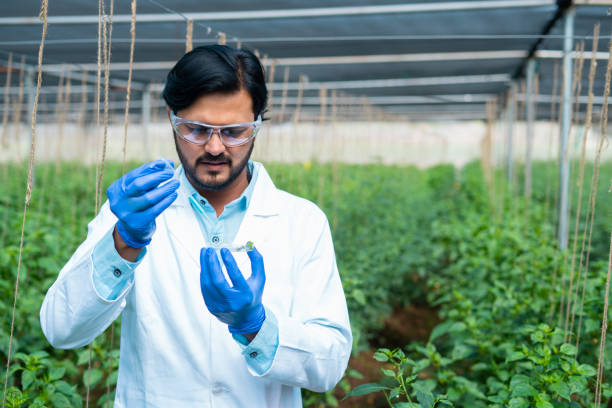 Plant Photobiologist (Specialized Role)