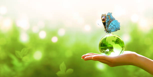 Established Ecologist