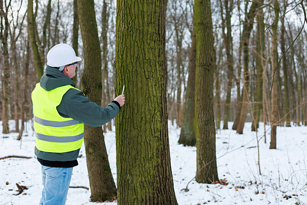Conservation Dendrologist (Specialized Role)