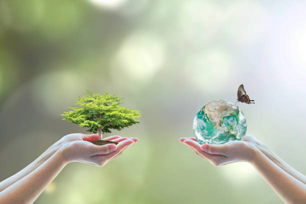 Global Sustainability Expert